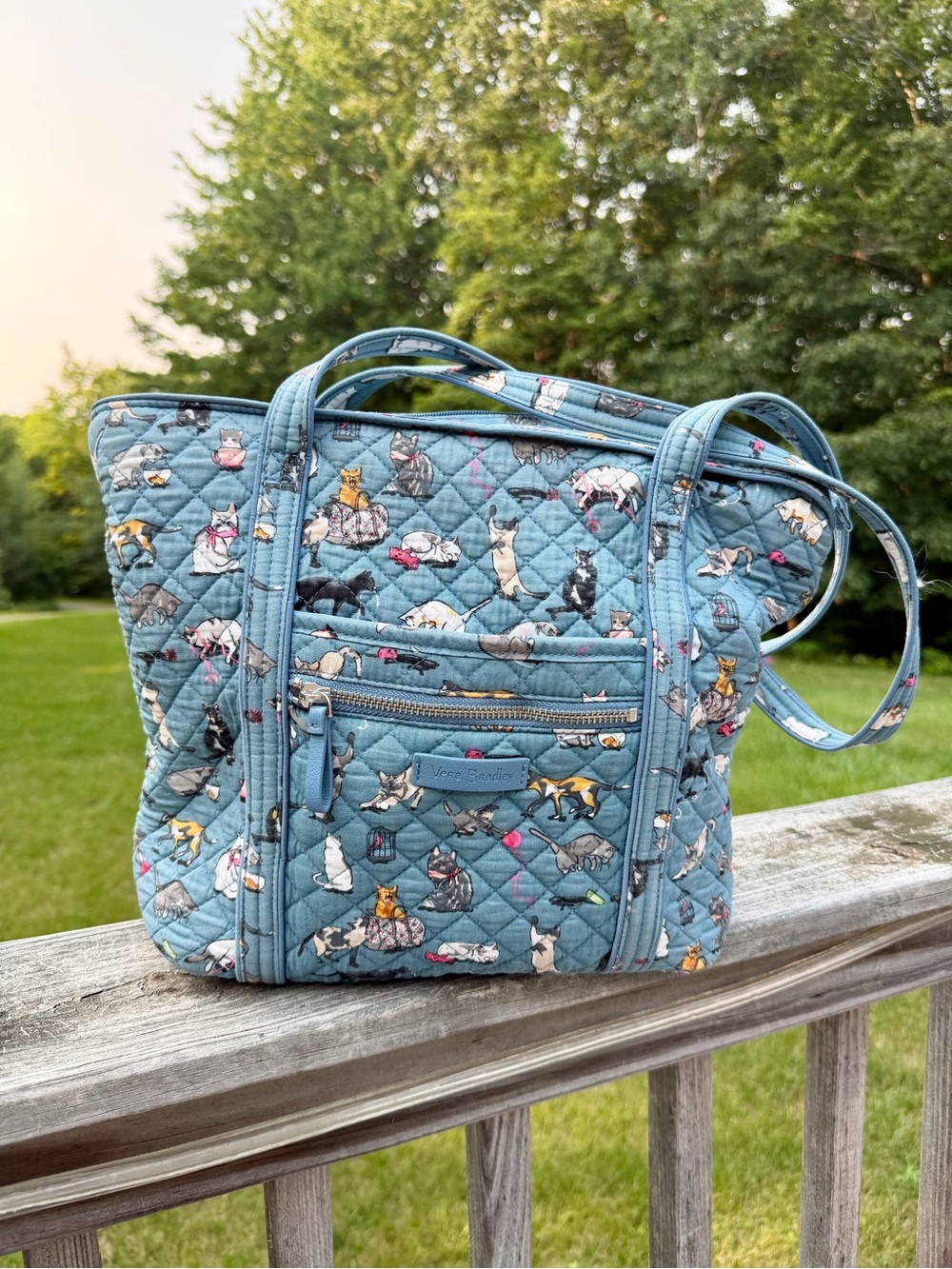 Vera Bradley Cat’s Meow Small Vera Tote 2019 Original Birdcage Interior